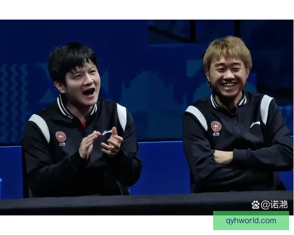 樊振东赵子豪联袂解说德甲赛场精彩瞬间全景呈现跨界激情碰撞直播盛宴